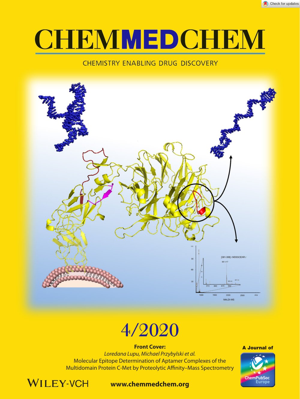 ChemMedChem cover, 2020