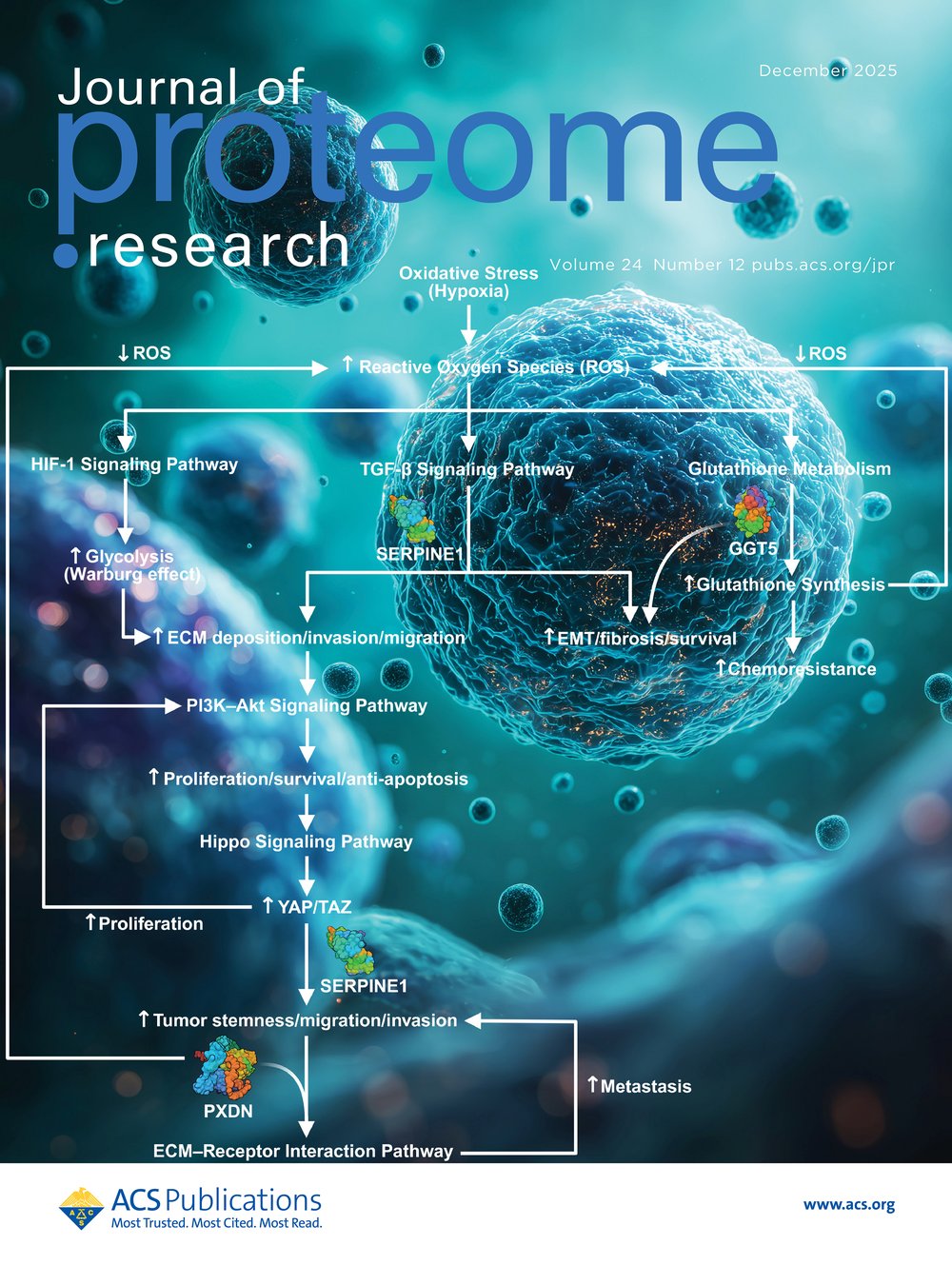 Journal of Proteome Research cover, 2025