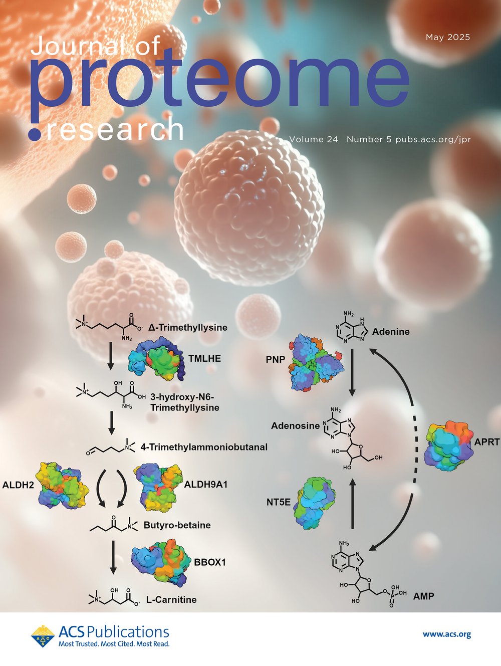 Journal of Proteome Research cover, 2025